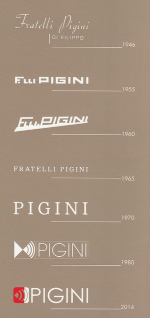 PIGINI Name Logo Generation